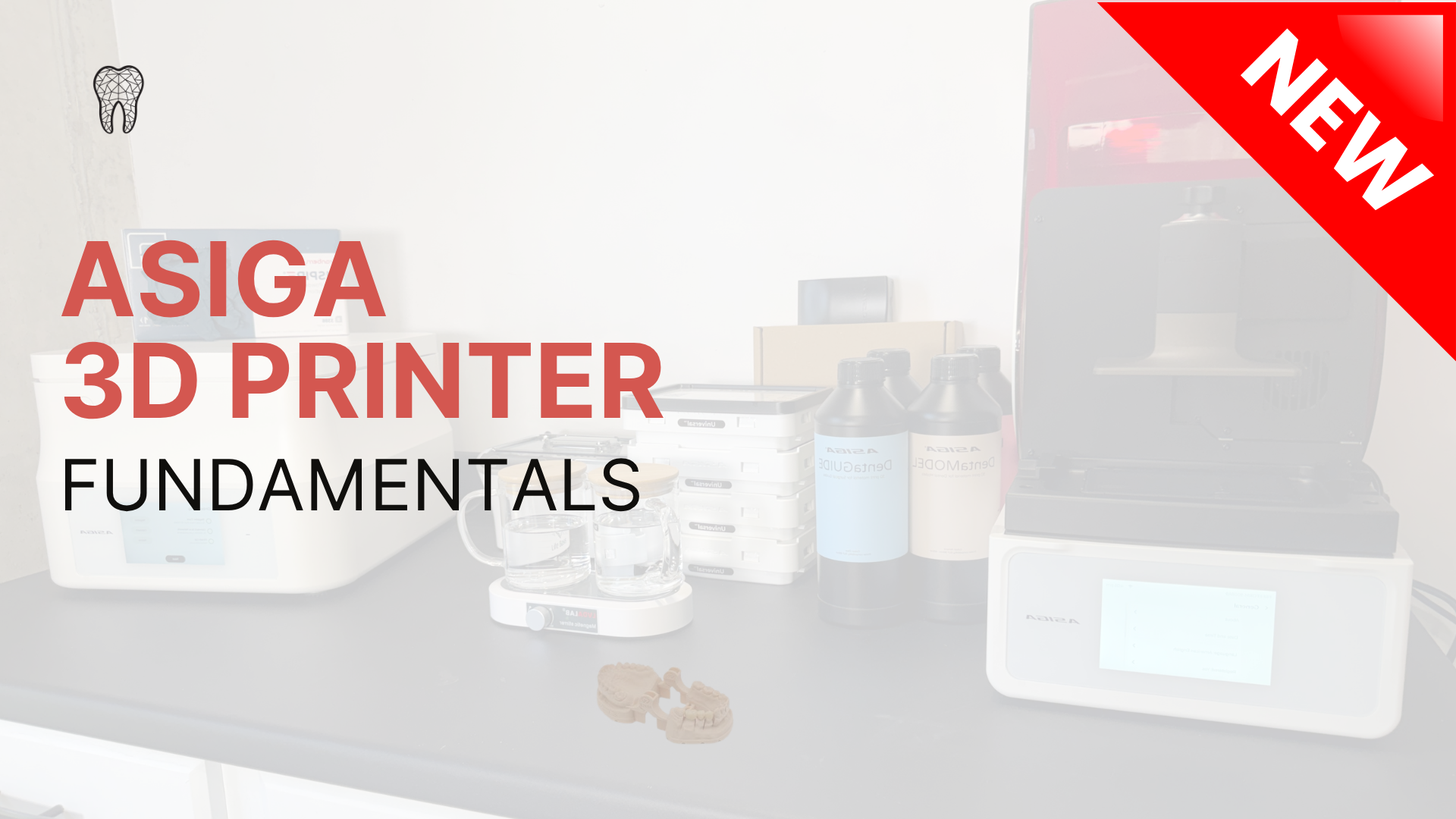 Asiga 3D Printer Fundamentals